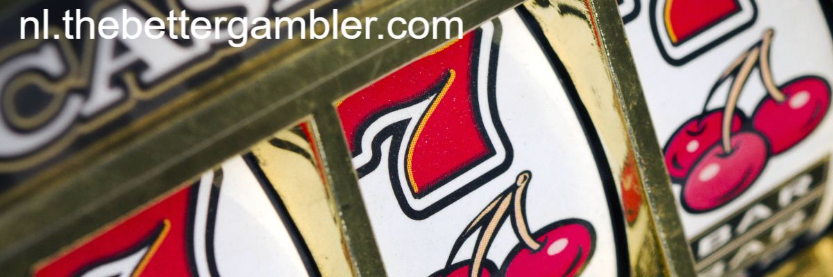 nl.thebettergambler.com